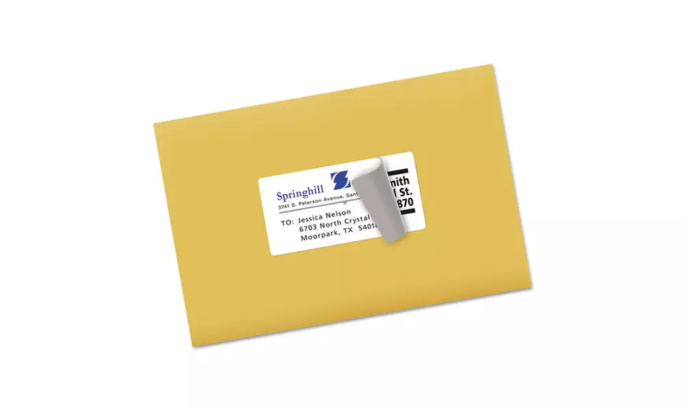 Avery Dennison Shipping Labels With Trueblock Technology - Primary Image