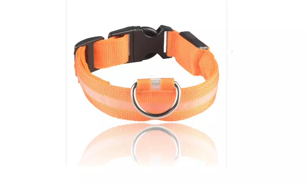 LED Dog Pet Light Up Night Glow Adjustable Safety Collar  Prevent The Lost - Second Medium