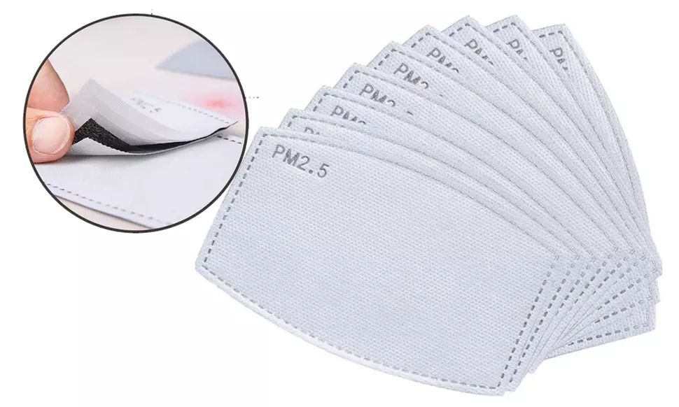 Activated Carbon 2.5PM Filters for Face Masks (10-, 20-, 30-, 60- or 100-Pack) - Primary Image