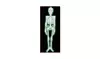 Beistle 00832 Plastic Nite-Glo Skeleton - Case of 12