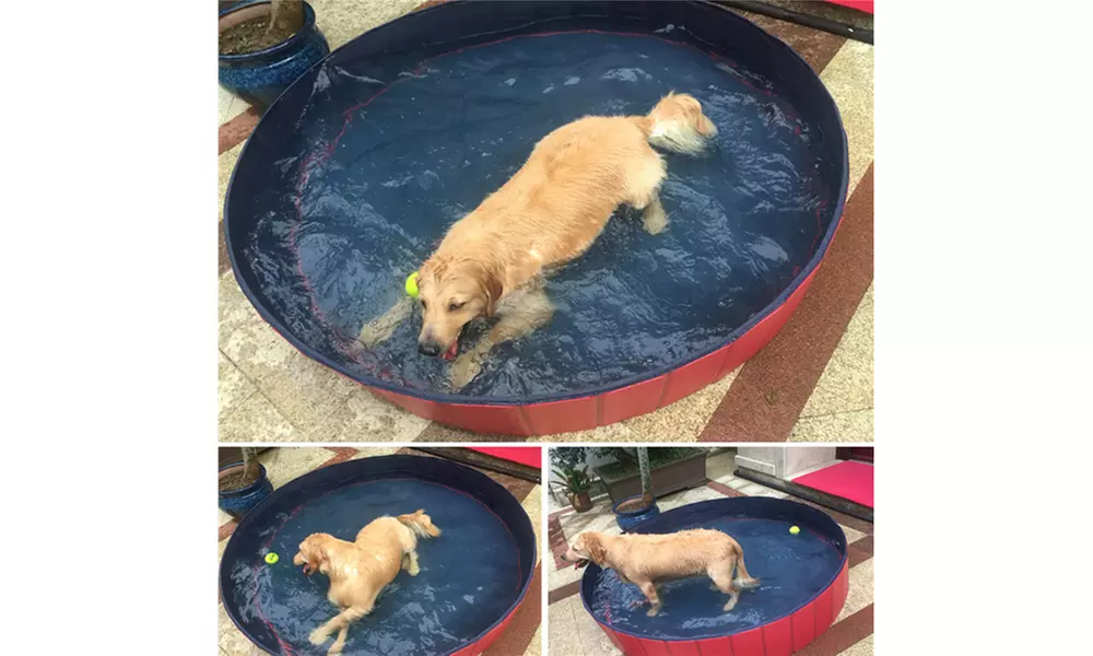 Topeakmart 3 Size Foldable Pet Swimming Pool Red Fun Dog Canine Swim - Primary Image