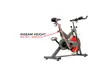 Sunny Health & Fitness Belt Drive Indoor Cycling Bike - Second Medium