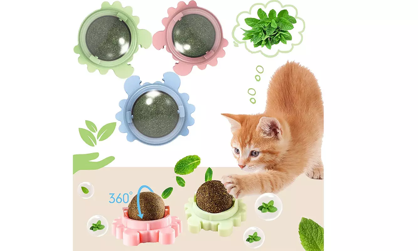 3 Pack Wall Rotating Catnip Balls for Indoor Cat Snack Ball