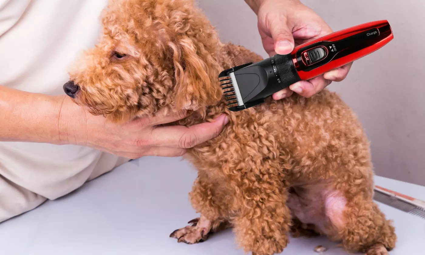 PetLuv Electric Cordless Low Noise Dog Grooming Hair Clippers Pet Grooming Kit