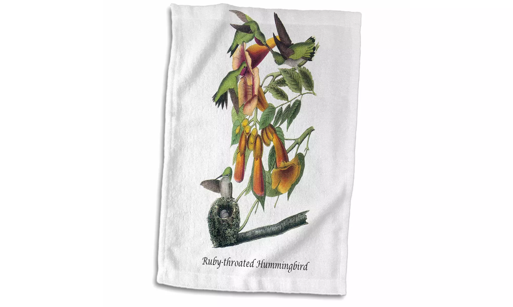  Towel - Ruby-throated Hummingbird by John James Audubon - 15 by 22-inches  - Primary Image