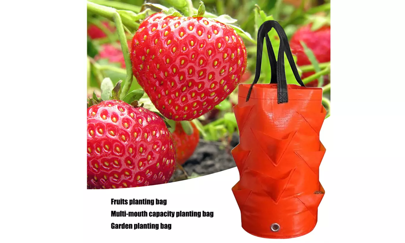 1-3 Pack Hanging 3 Gallon Planting Grow Bags with 10 Hole for Strawberry Tomato