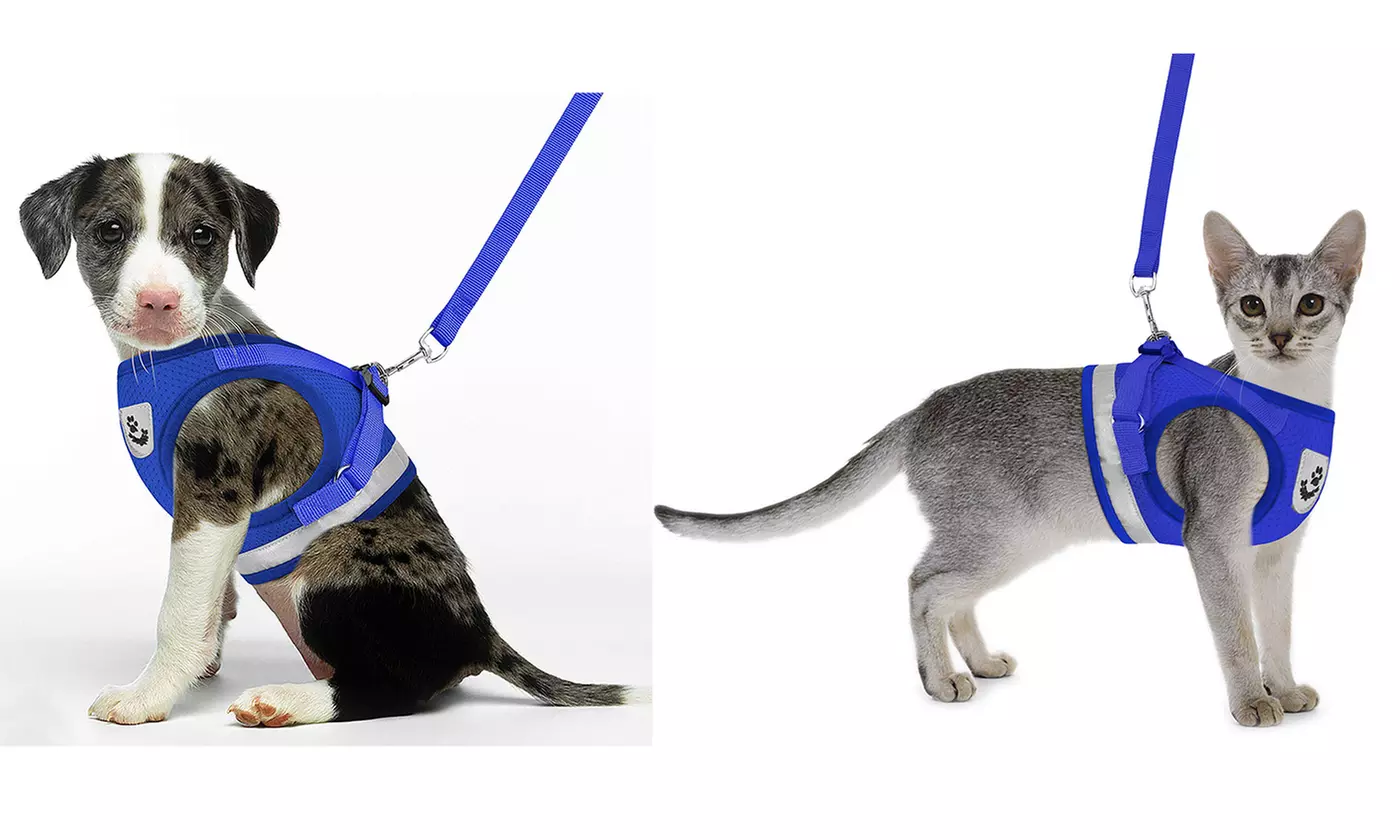 No-Pull Hand Strap Dog Cat Vest With Dog Leash Pet Collar Adjustable Harness