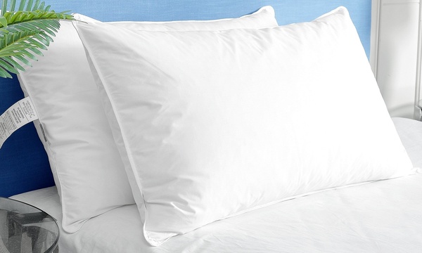 Groupon feather cheap pillows