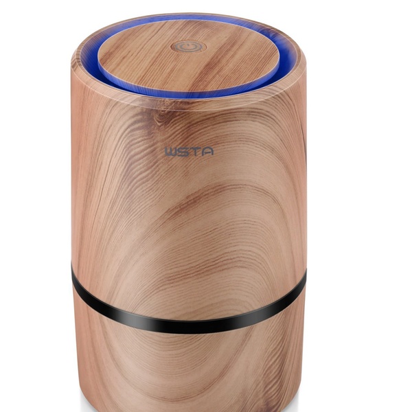 portable air purifiers for allergies