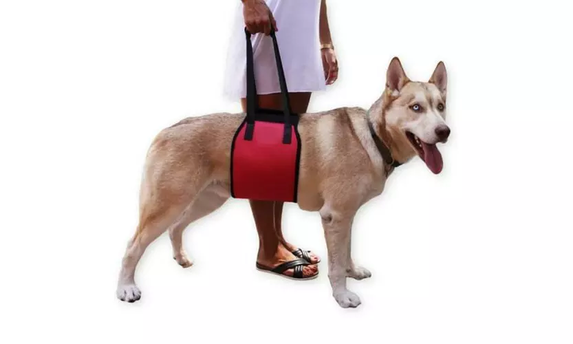 Dog Full Body Lift Harness Full Body Support and Recovery Sling - Primary Image