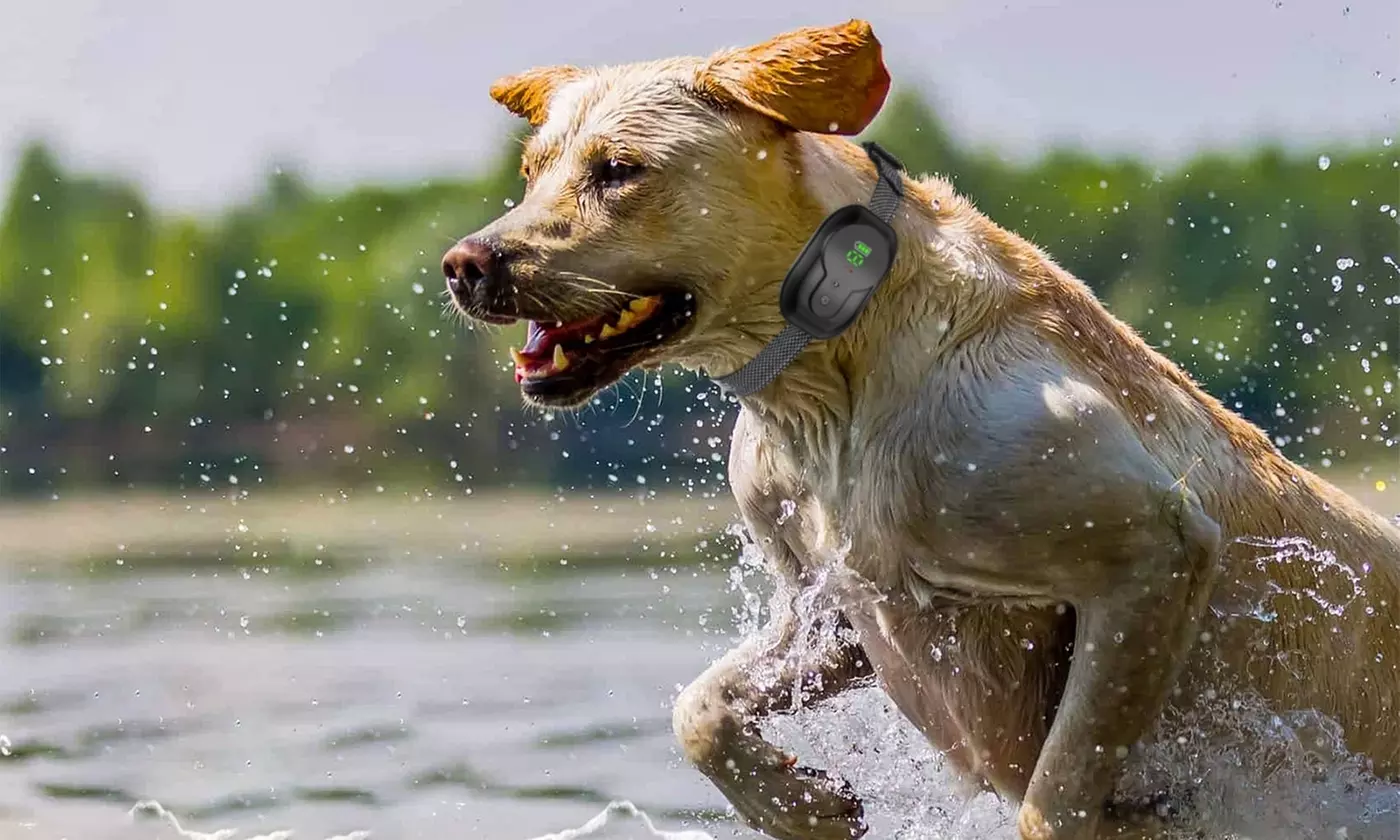 iMounTEK Dog Training Smart Bark Collar with Shock, Vibration, and Beep