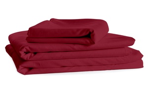 Queen Size Egyptian Cotton Feel 1800 Count 4 Piece Bed Sheet Set