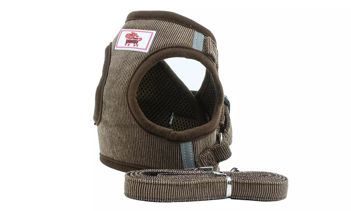 Windproof Reflective Dog Harness with Leash Set for Pet Walking