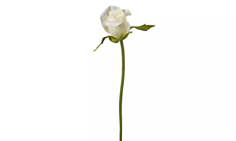 Darice Artificial Rosebud Pick Cream 9.5 Inches - Primary Image