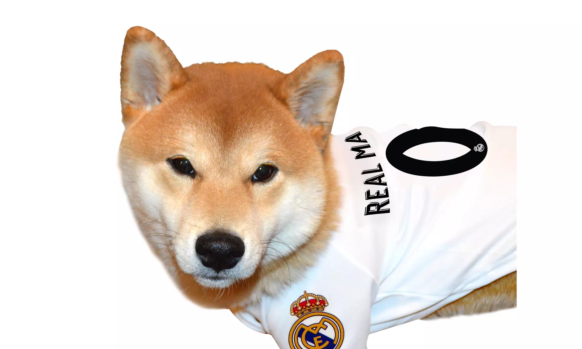 Real Madrid Pet Jersey - Primary Image