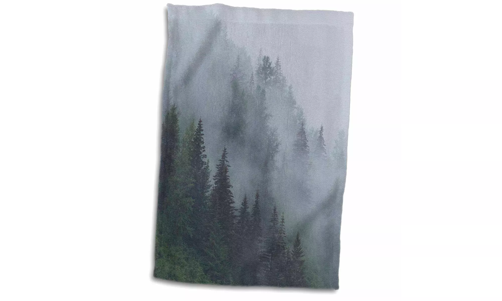  Towel - Alaska, Glacier Bay NP, Tongass NF. Fog shrouds trees on steep slopes. - Primary Image