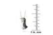 Silver Tone Two Tone Black Diamond Accent Penguin Necklace - Second Medium