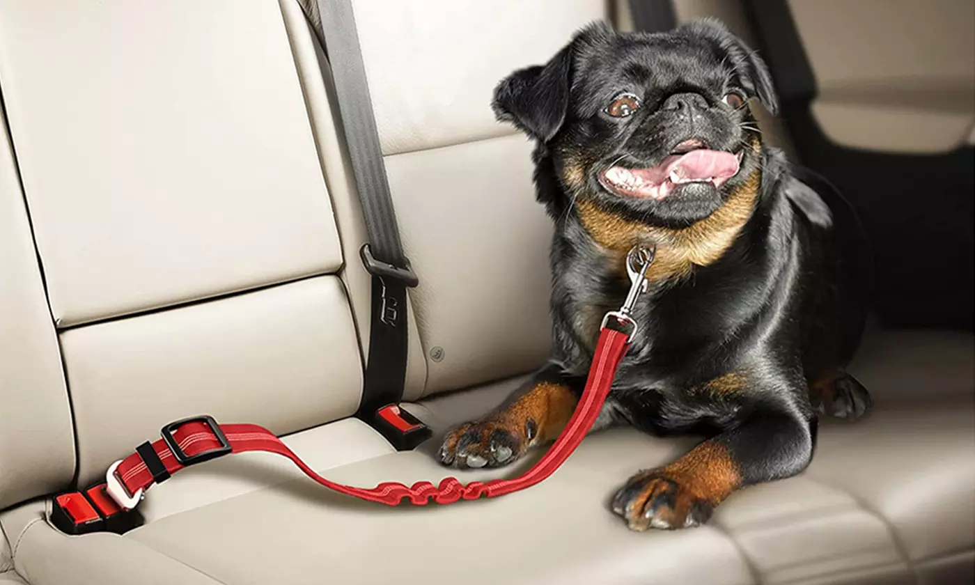 Heavy Duty Dog Safety Car Seat Belts