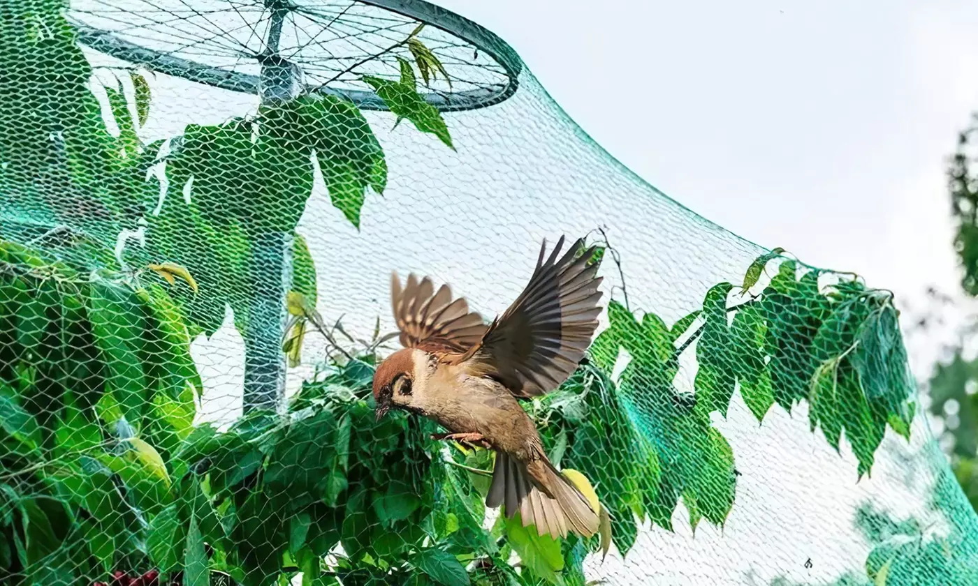 iMounTEK 13' x 33' Anti-Bird Garden Netting Protective Barrier Net for Plants