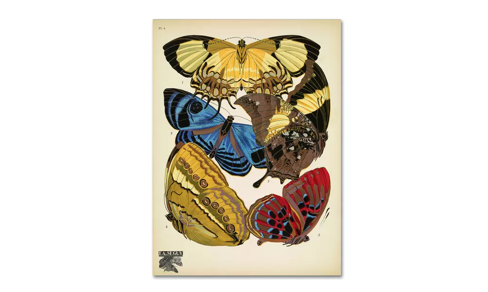 Vintage Apple Collection 'Papillons 4' Canvas Art - Primary Image