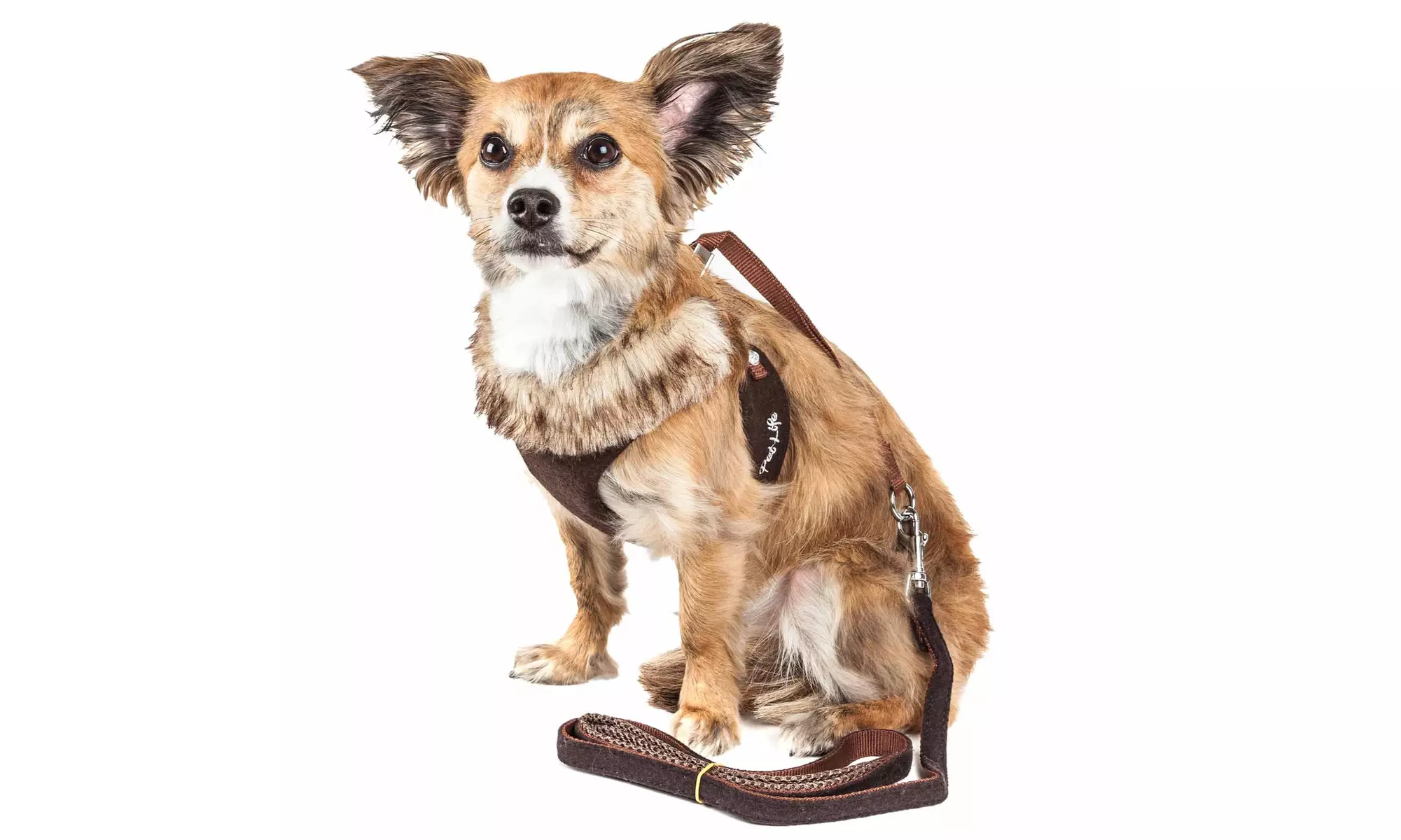 Pet Life Luxe 2-In-1 Designer Trendy Pet Harness and Leash Combination - Primary Image