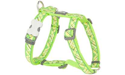 Red Dingo DH-CI-GR-ME Dog Harness Design Circadelic Green Medium