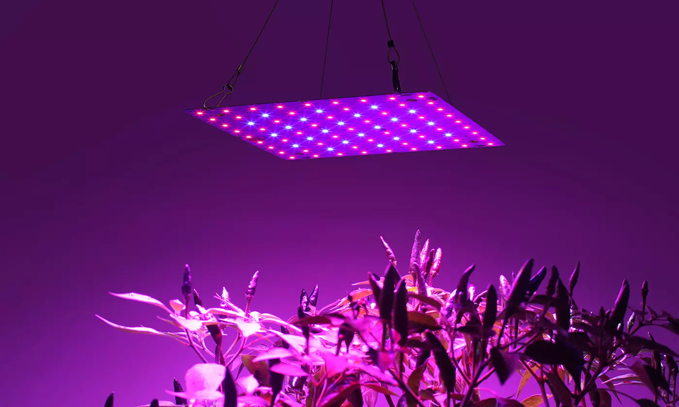 Full Spectrum Panel Plant Grow Lights for Indoor Plants Seedling