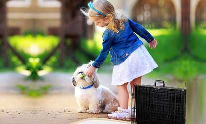 20" - 48" Folding Metal 2 Door Pet Kennel Playpen Dog Crate