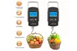 Fish Scale Portable Scale LCD Digital Weight 110lb/50kg with measuring tape - Second Medium