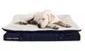 Stearns and Foster Large Pillow Top Lounger  - Primary Image