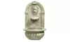 Koehler Outdoor Patio Decor Lion Head Water  Fountain