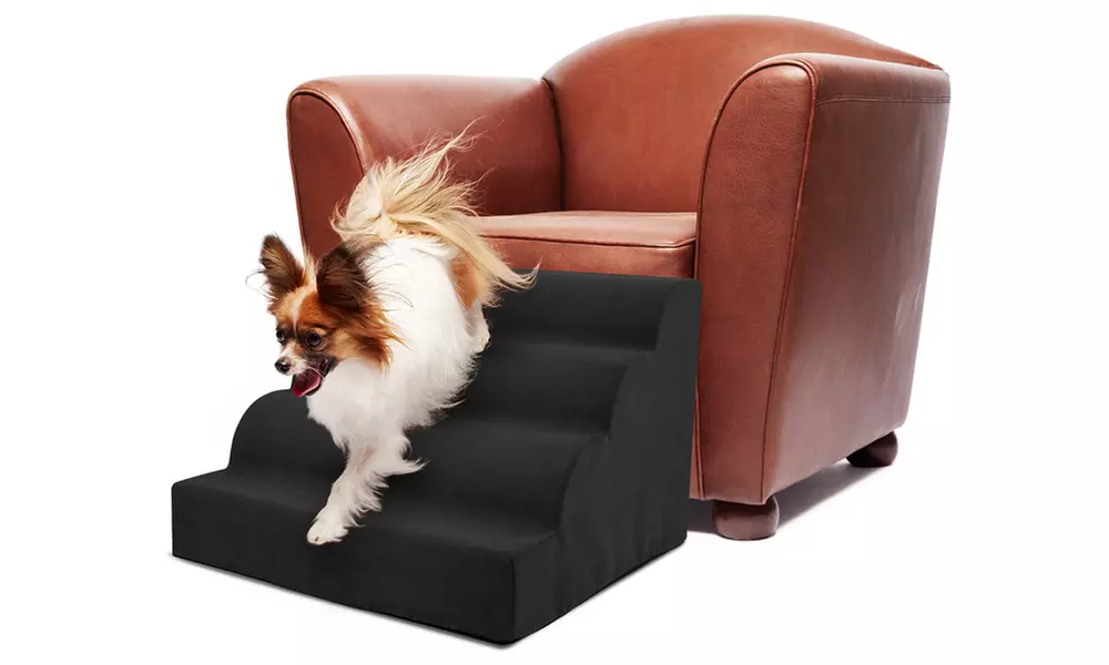 High Density-Foam Curved Pet Ramp - Primary Image