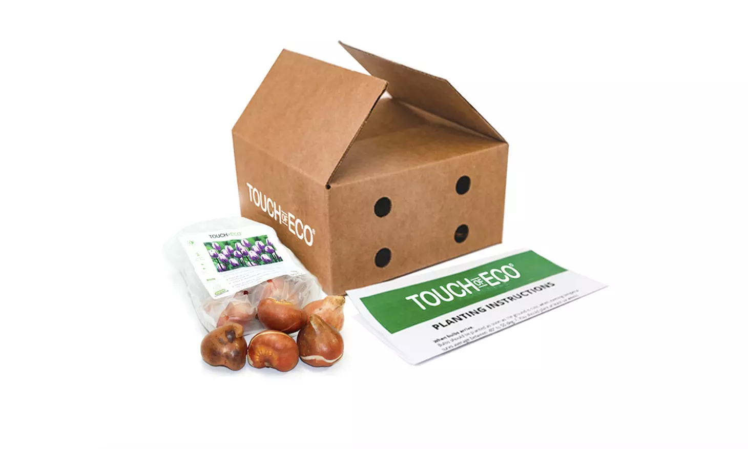 Blueberry & Strawberry Tulip Bulb Collection (8,18, 32 & 38 Count)