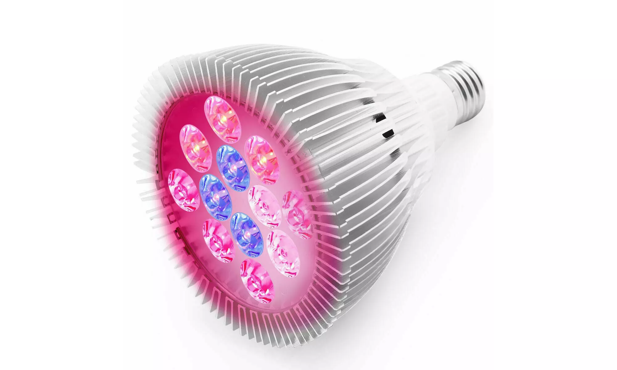 24W E27 12 LED Grow Light Lamp Bulb Flower Hydroponic Plant Garden Red Blue - Primary Image