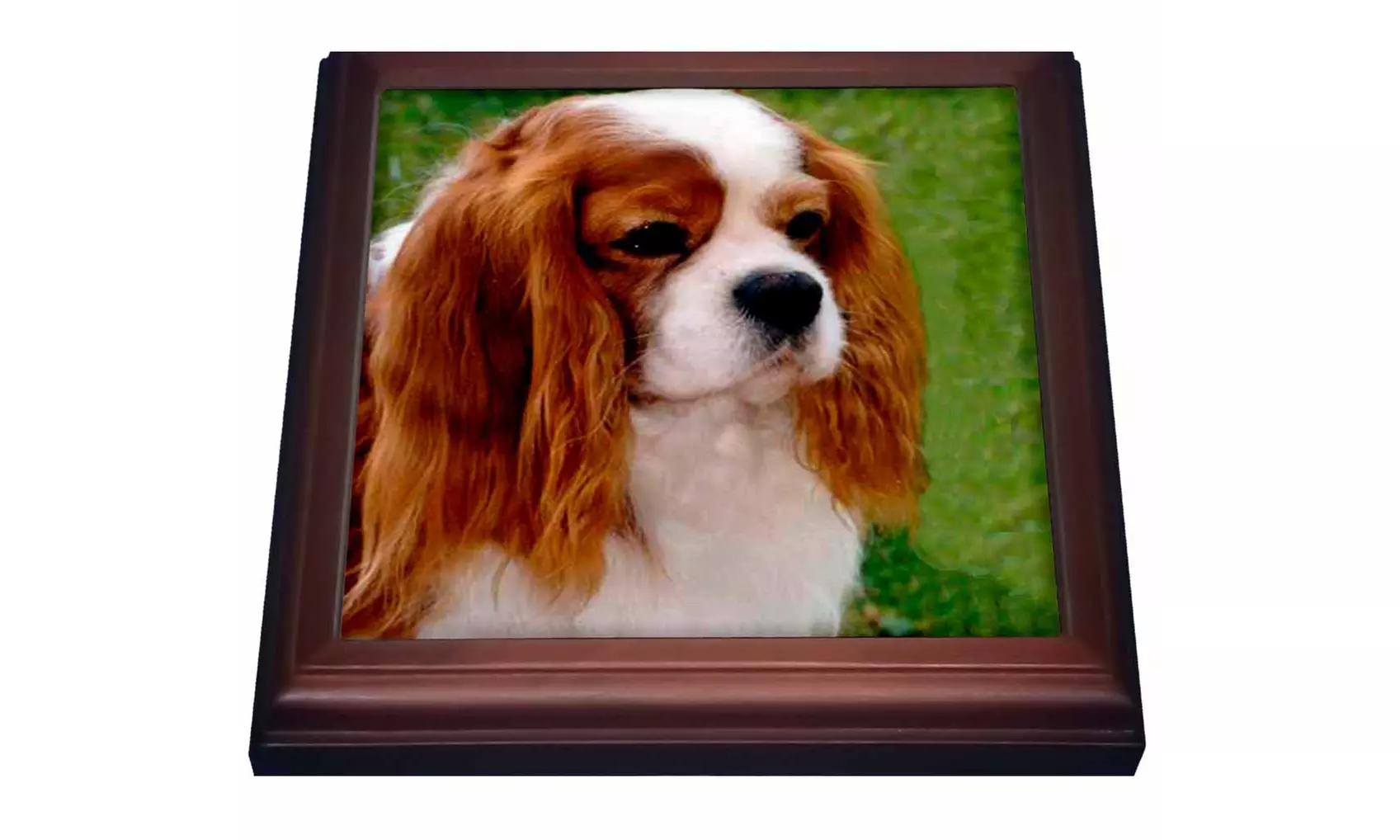  Trivet with TileCavalier King Charles Spaniels - Primary Image