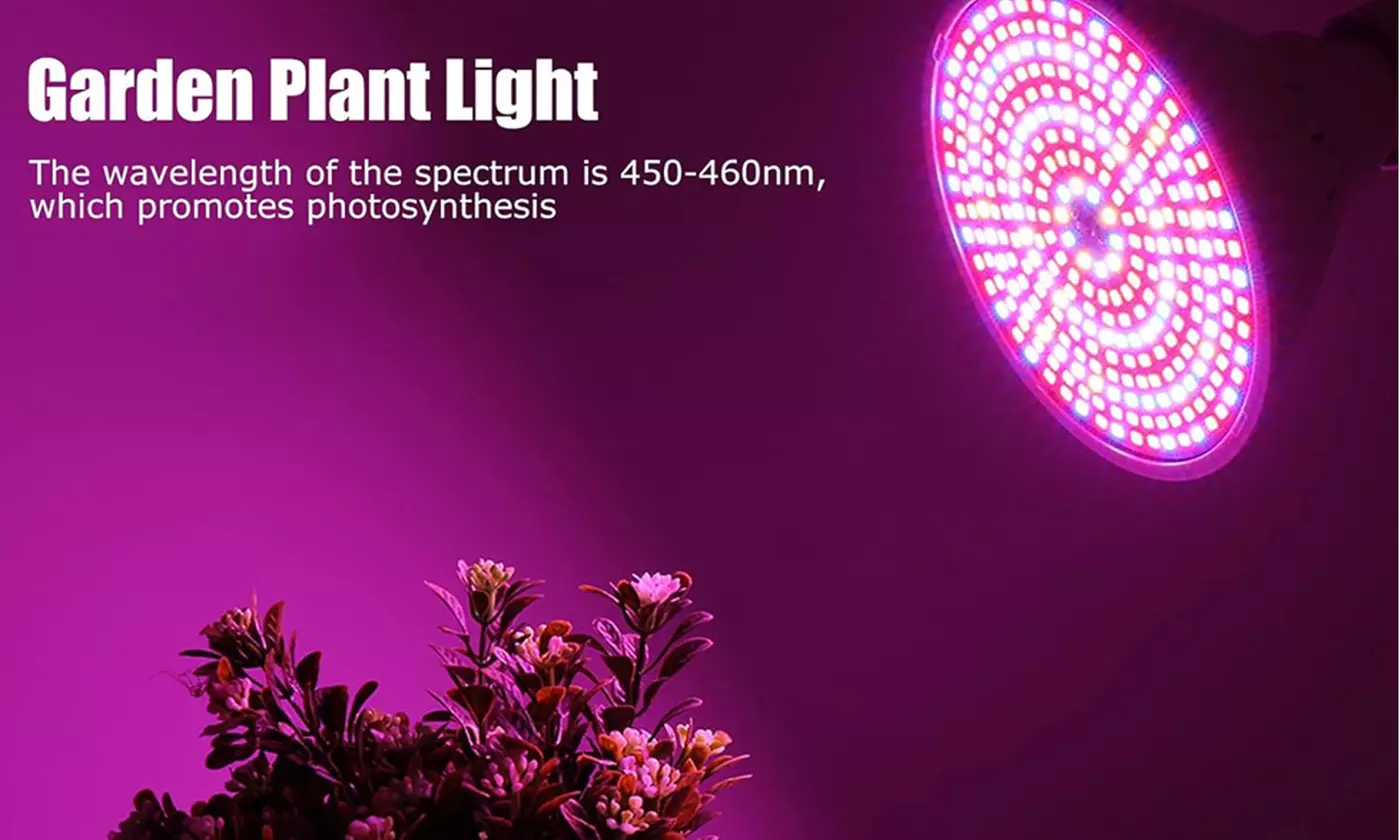 200 LEDs Full Spectrum Grow Light Red Blue LED Plant Lights Bulb
