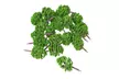 Model Trees Mini Scenery Landscape Architecture Train Railroad Trees - Second Medium