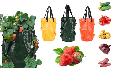 Garden Hanging Vegetable Flower Planting Grow Bag Strawberry Tomato Planter Bags Green 1 Pack