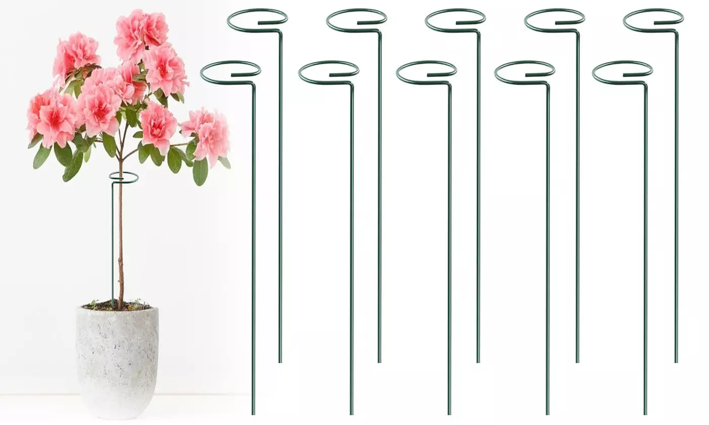 iNova 10"/16" Garden Plant Support Stakes Flower Single Stem Support (10-Pack)