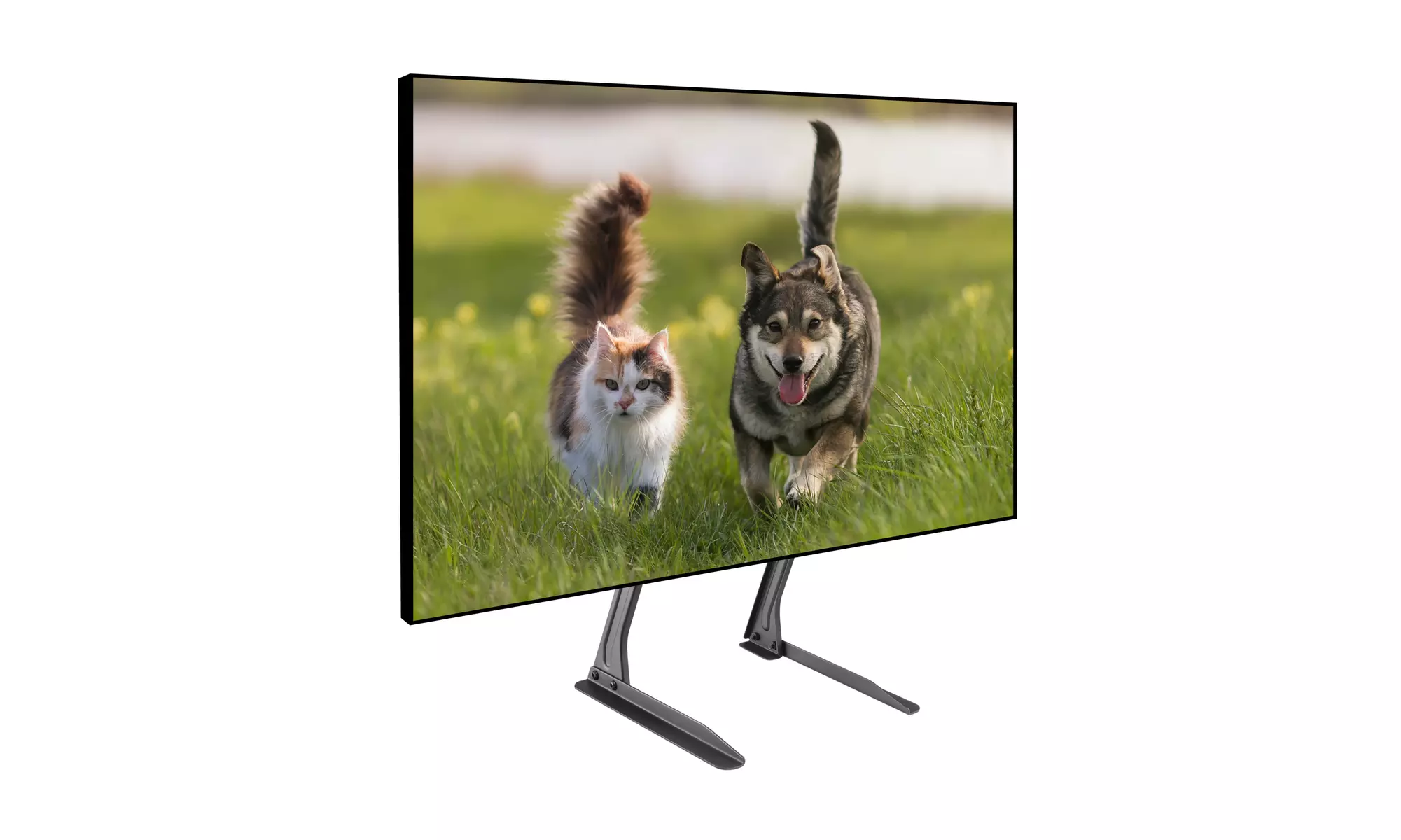 ProMounts Large Flat Tabletop TV Stand Mount Brackets for 13in-72inch TVs - Primary Image