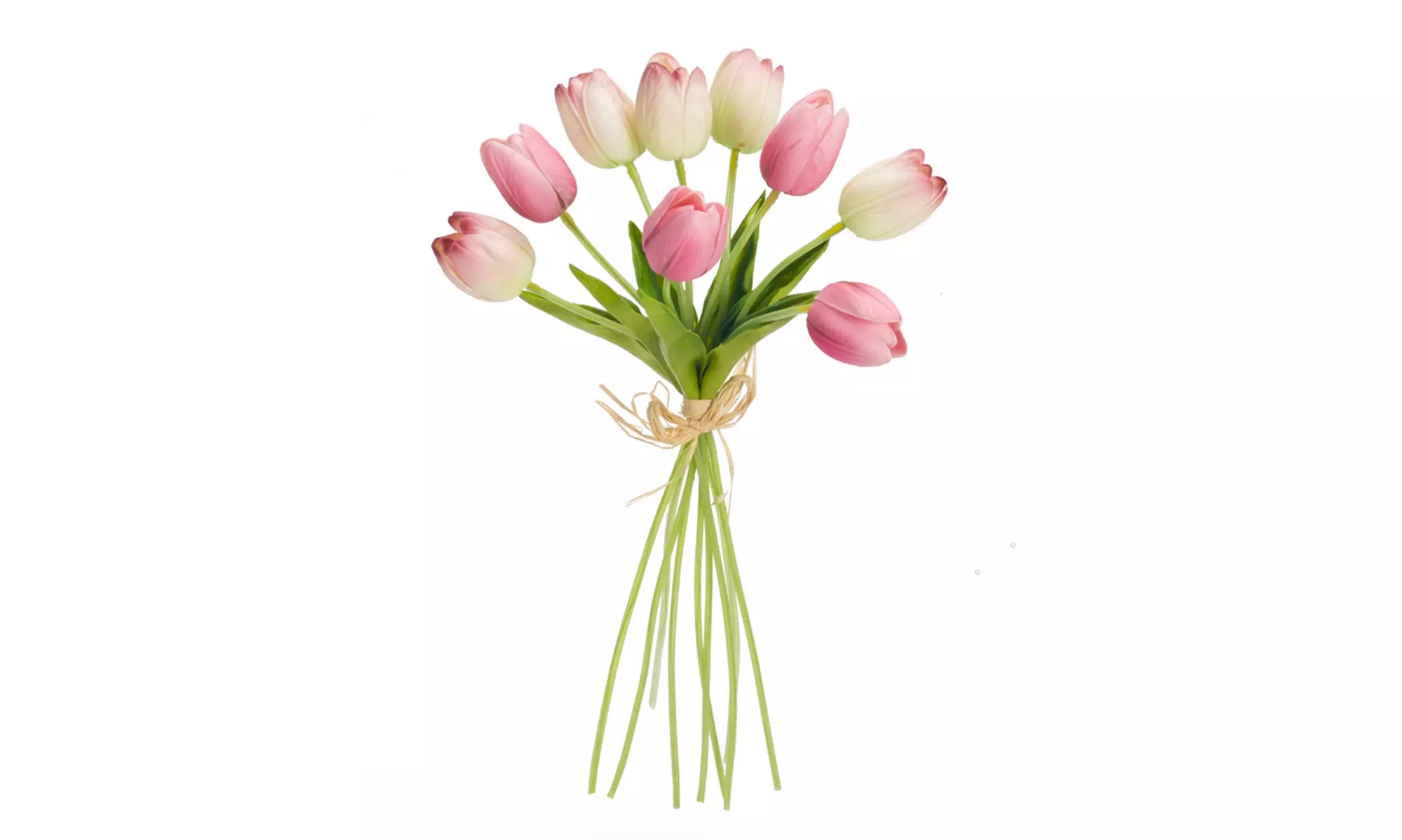 Tulip Bundle (Set of 6) 15"H - Primary Image
