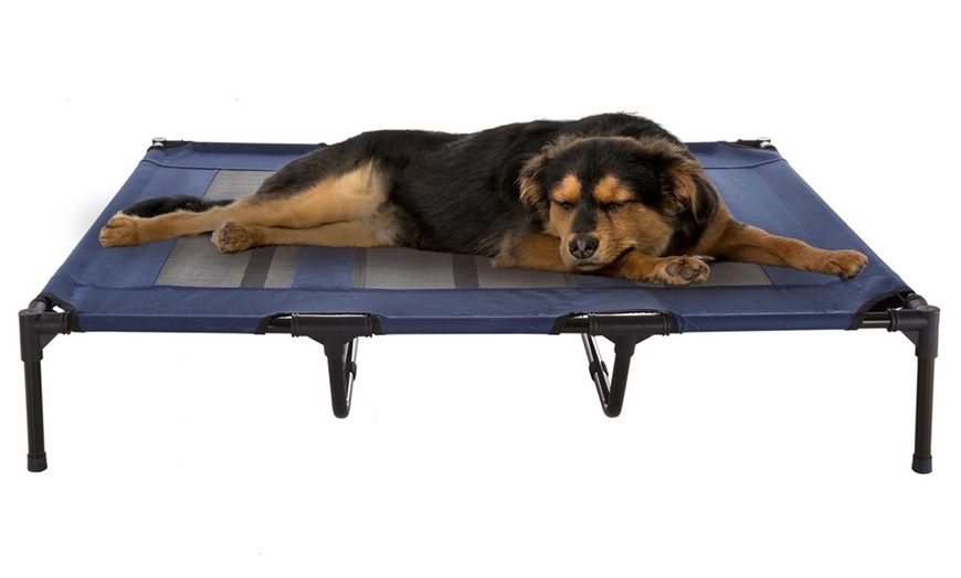 Up To 64% Off On Petmaker Elevated & Portable ... | Groupon Goods