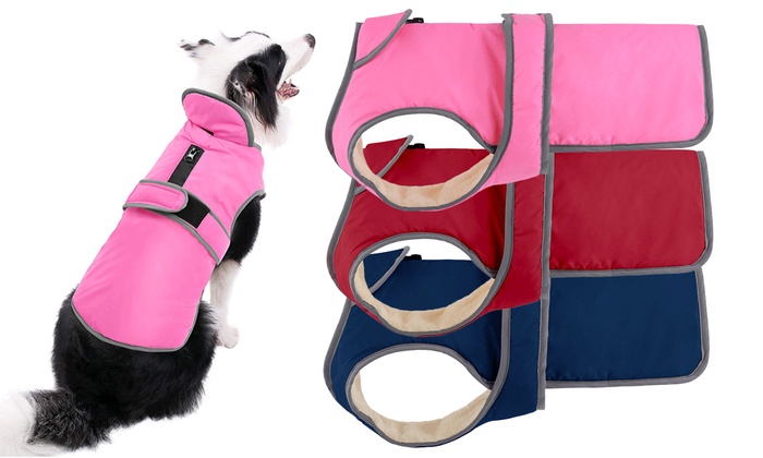 dog fleece jacket