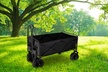 LakeForest Collapsible Utility Wagon Foldable Cart with All-Terrain Wheels - Second Medium