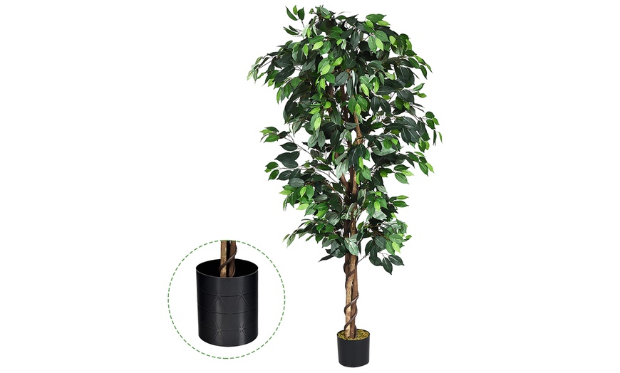 Up To 62% Off On 6 Ft Artificial Ficus Silk Tr... | Groupon Goods