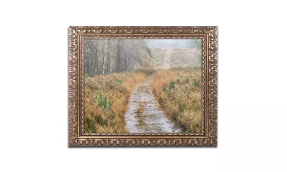 Cora Niele 'Path' Ornate Framed Art - Primary Image