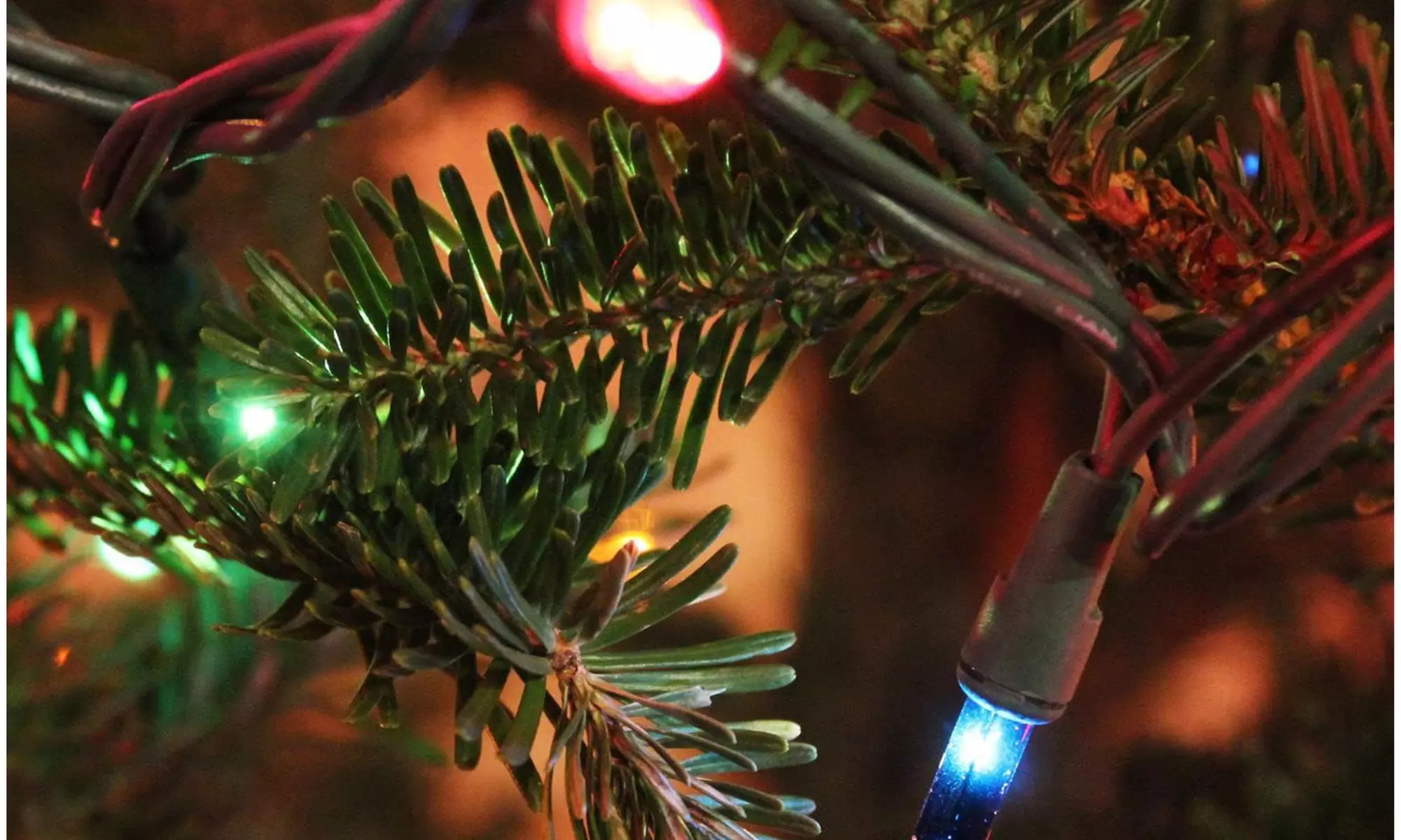 2 Pack 20FT 100 Count Incandescent Waterproof Mini String Lights Plug in