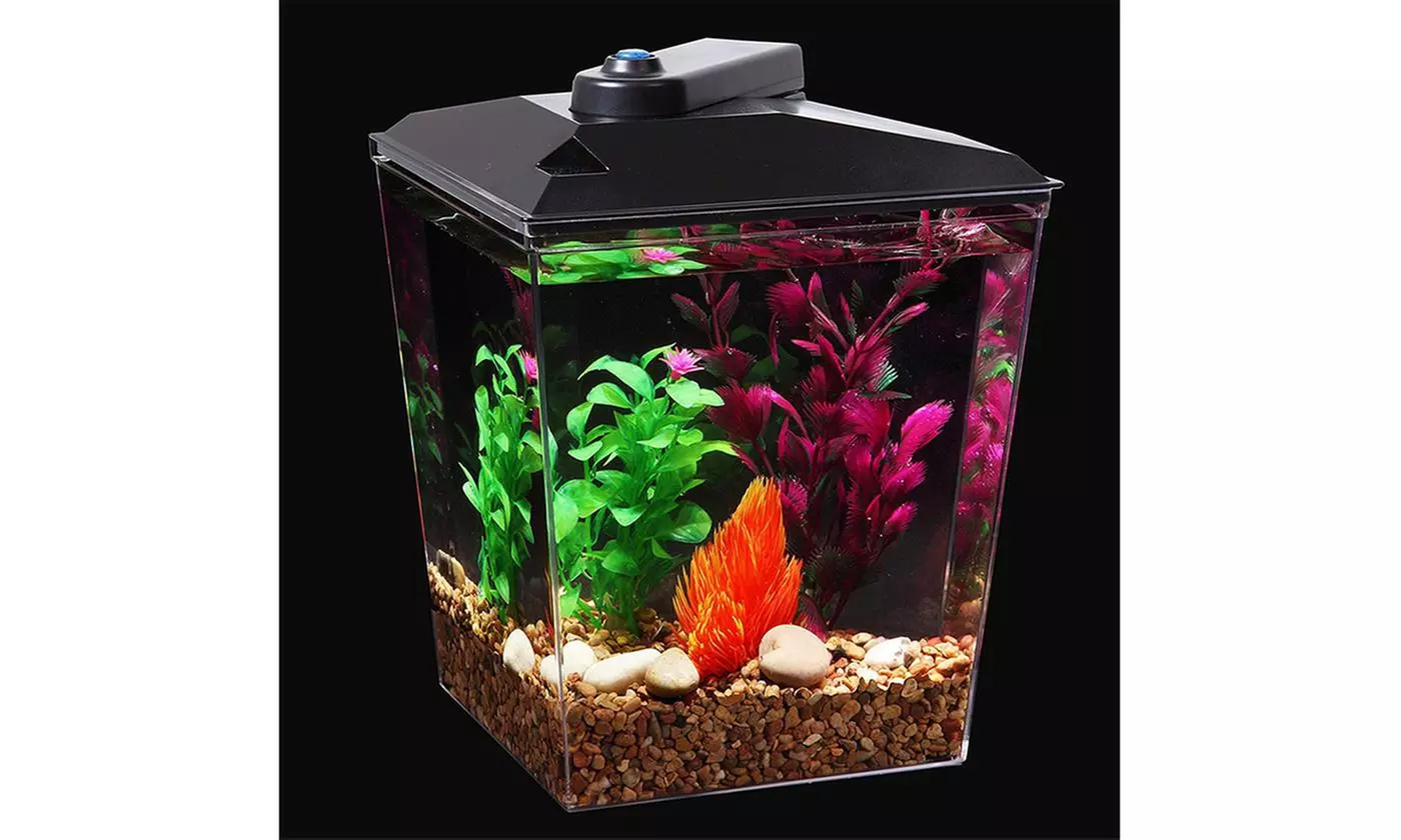 1-Gallon Aquarium Kit LED Light Power Filter & Betta Fish Tank - Primary Image