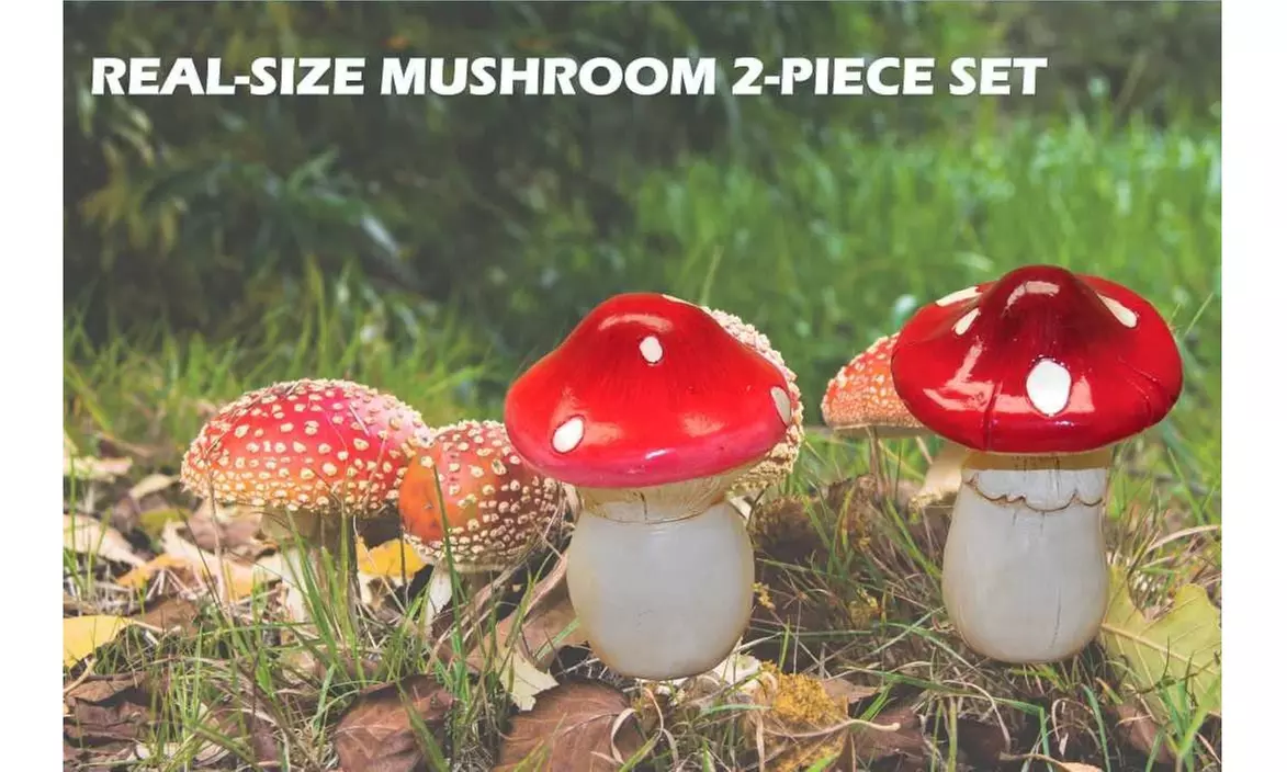 2 Set MiniGardenn Fairy Garden Miniature Life Size Mushroom Statue Collection - Second Medium