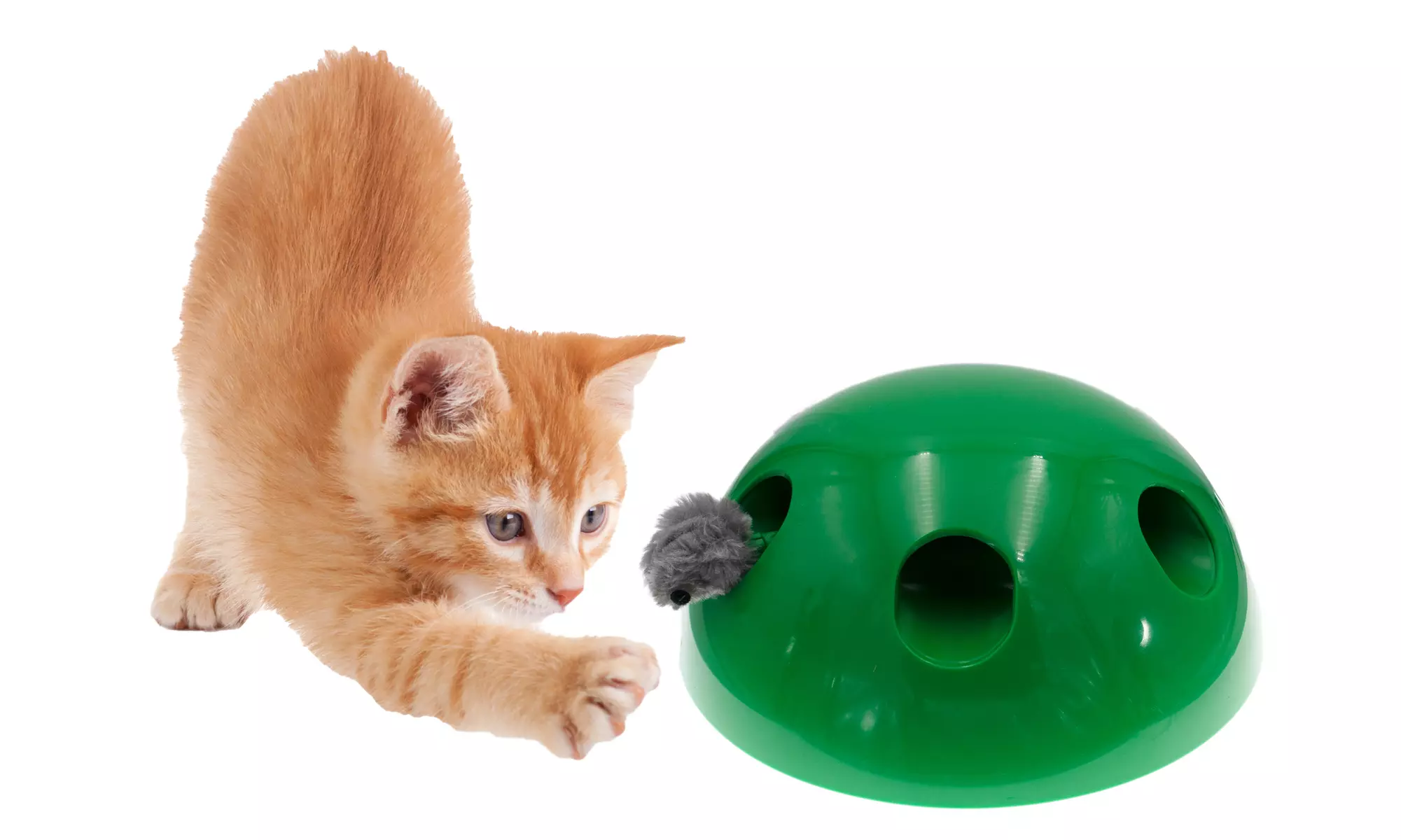 Automatic Pop Up Cat Interactive Random Motorized Moving Squeaking Mouse Toy - Second Medium